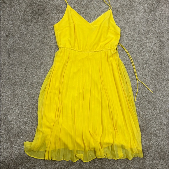 Pleated Cami Midi Dress NWOT - Picture 5 of 6